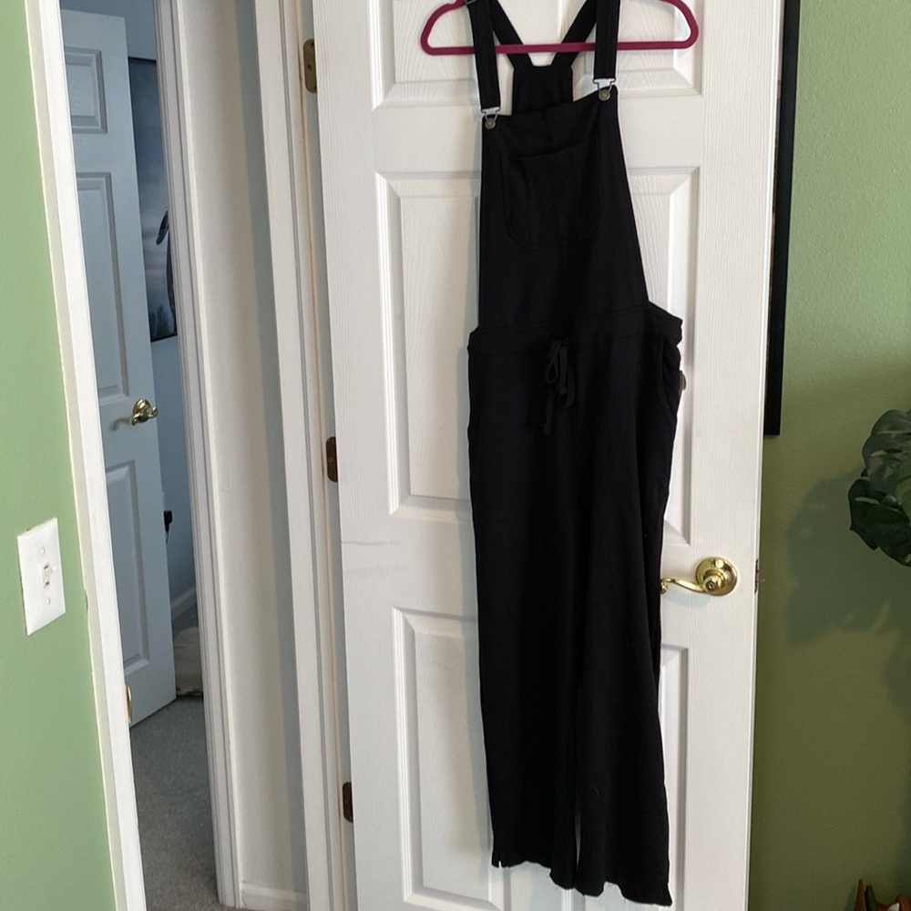 Wallflower overalls